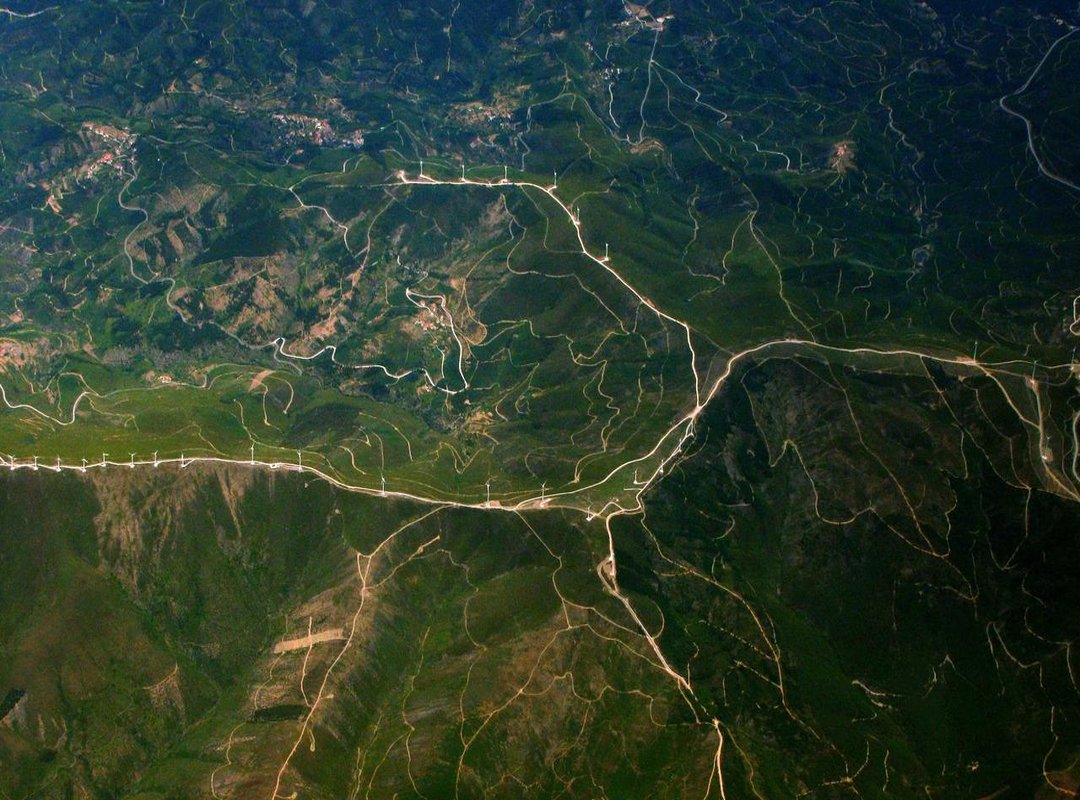 Life at 29: Major Milestones and Financial Goals in 2024