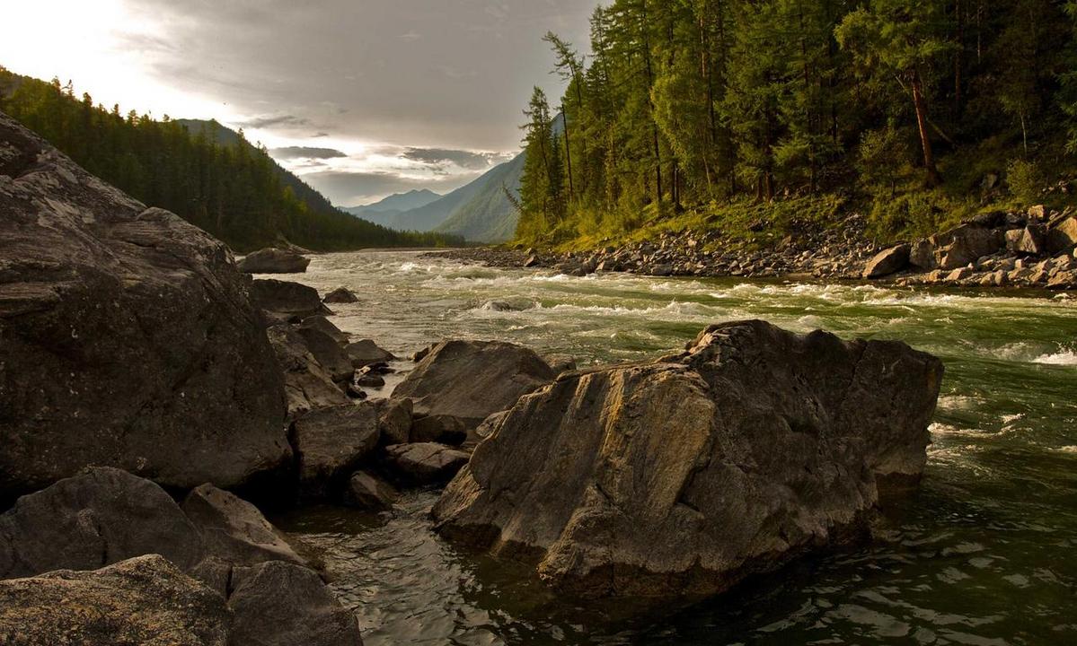 contemporary culture