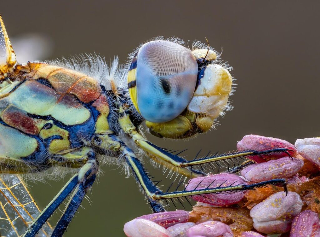 fascinating details events