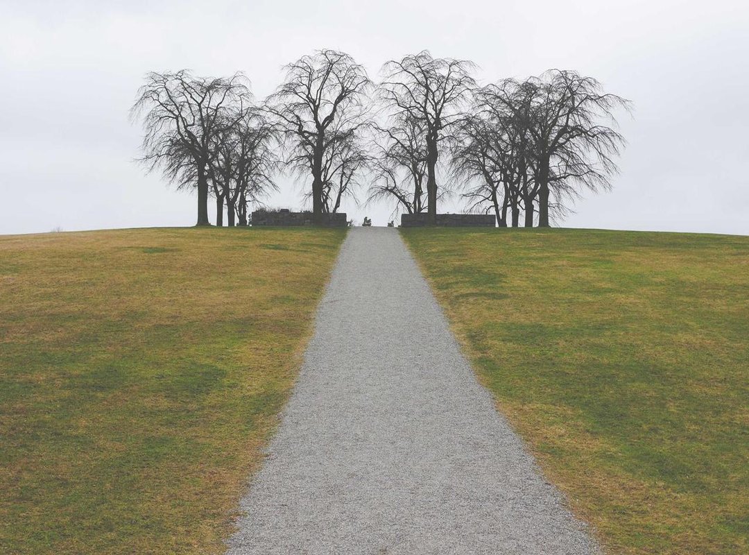 More Than Words: Using Advanced Translation Features