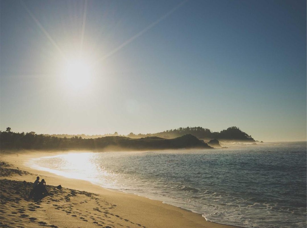 Warning Signs: How to Spot and Avoid Free Credit Scams