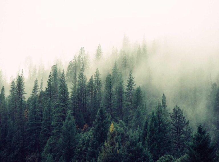 low:8-opwl-vsag= burst fade