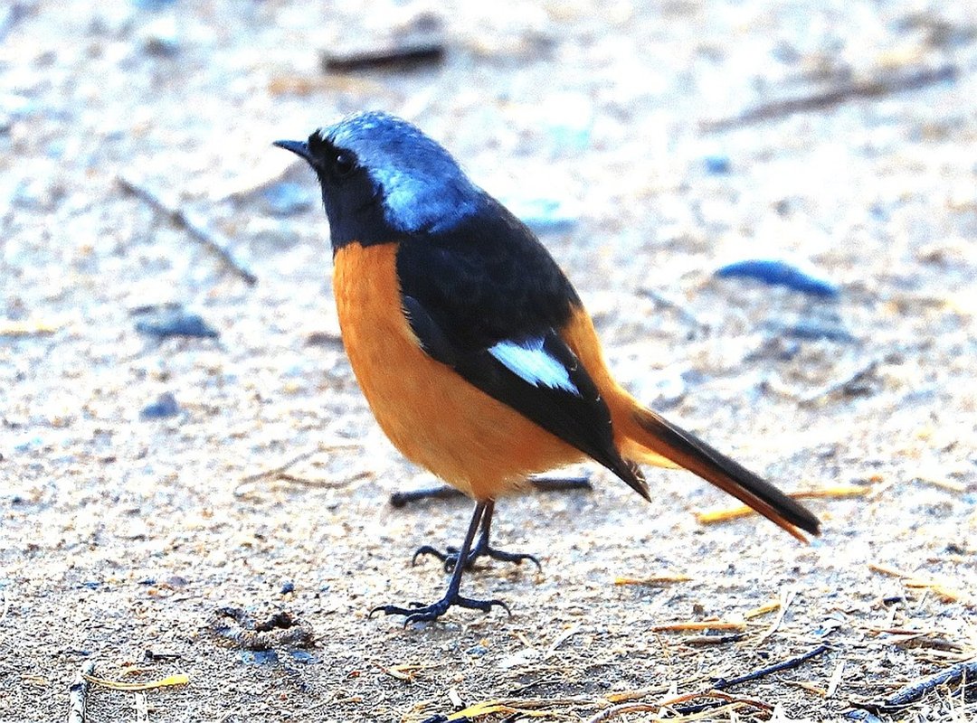 How to Stay Updated on New Video Posts