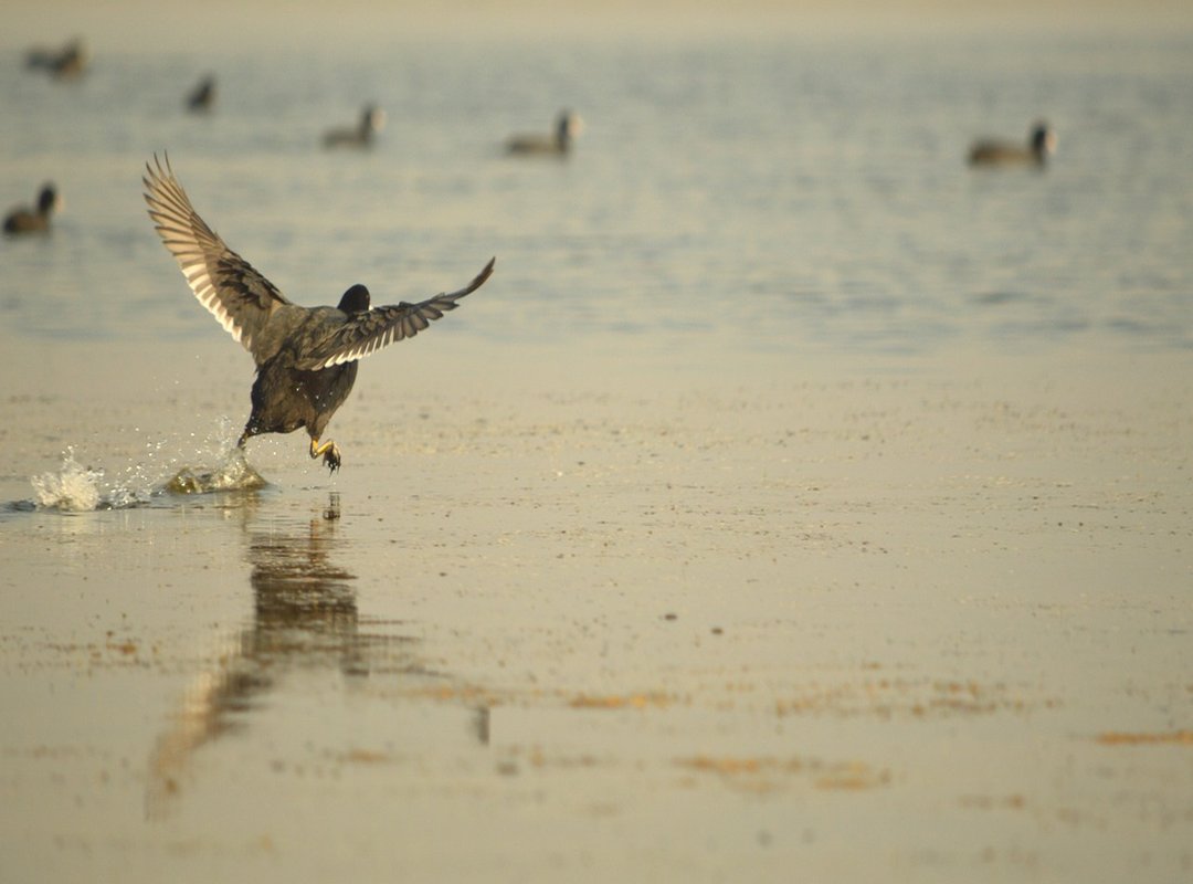 Common Myths About Luck